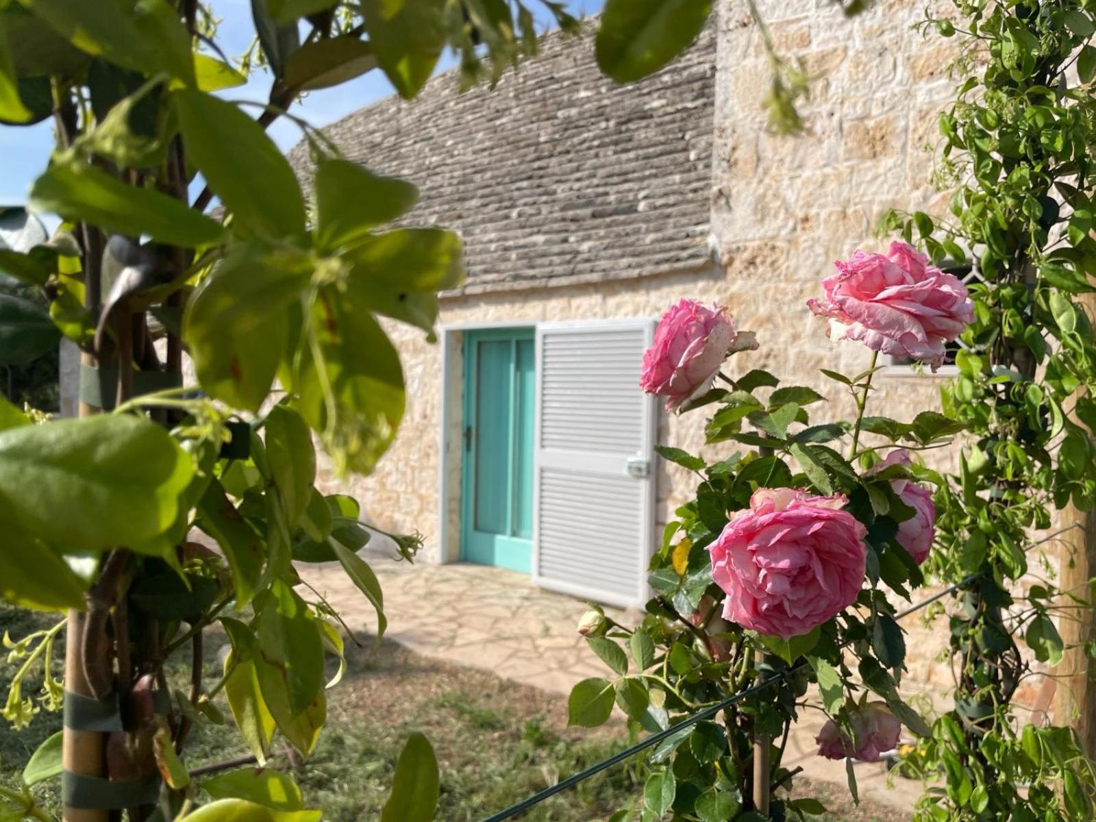 Giardino Dei Trulli Cummerse Faccia di Trippa di Monte Eksteriør billede
